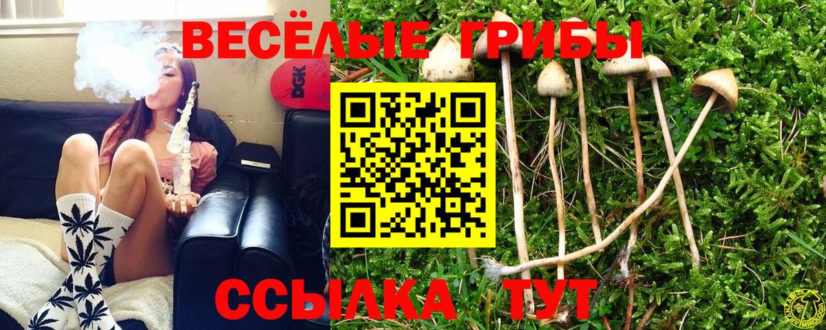 Красноярск  где можно купить   Вход с VPN  Псилоцибиновые грибы Psilocybe 